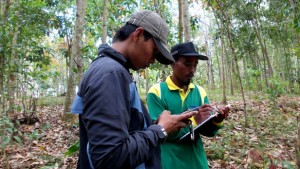 24 Hektar Hutan Rakyat Dipetakan di Rajawali, Lampung Tengah