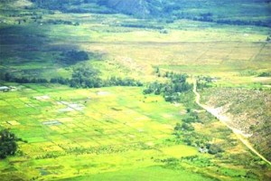 Wamena, Impian Jadi Kenyataan