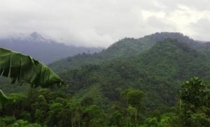 Mempertahankan Lanskap Bujang Raba