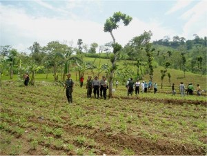 Rehabilitasi Lahan Kritis dengan Agroforestry Berbasis Masyarakat di TN Meru Betiri