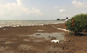 Mitra EA Kunjungi Pesisir dan Tambak WIIP di Banten