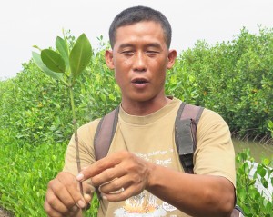 Penyelamatan Ruang Hidup dan Penghidupan di Teluk Banten