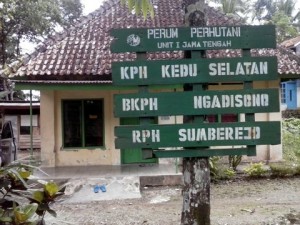 Mendorong Kemantapan Hutan Jawa