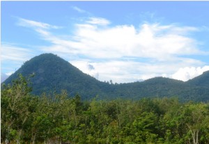 Jalan Panjang Pengelolaan Hutan Desa di Desa Ensaid Panjang, Sintang, Kalimantan Barat