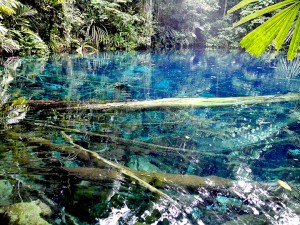 Membangun Ekowisata Kampung Sepse