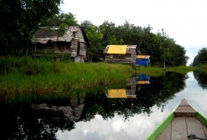 4 Desa Upayakan Hak Kelola Hutan Desa di Kabupaten Kapuas