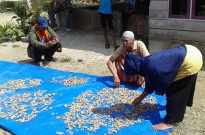 Memperkuat Pendampingan Wirausaha Sosial Komoditi