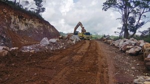 Mencegah Kerusakan Hutan Lindung Bukit Daun