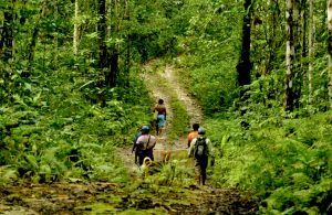 Saat Kesatuan Pengelolaan Menjadi Tumpuan Pengelolaan Hutan di Biak