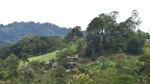 Jambore Nusantara Digelar di Ketambe Aceh Tenggara