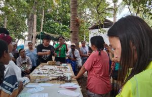 Berbagi Cerita di Ladang Sorghum